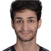 Arabic Language Teacher for non native speaker of it; both standard and colloquial (Levantine) dialect.